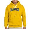 Adult Heavy Blend™ Hooded Sweatshirt Thumbnail
